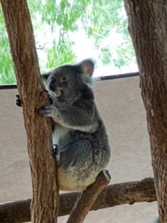 0FEBAEE5-2808-44F8-8134-D21E8BD23CFD