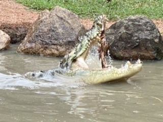 1933E66F-294A-41FF-AFAD-CFCAED1B5EE1