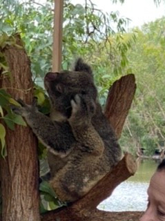 2DAEDC80-FE65-4A40-B8D5-9970D076F932