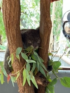 3EBC0194-D8AA-43F3-B6B8-100A9A761AD1