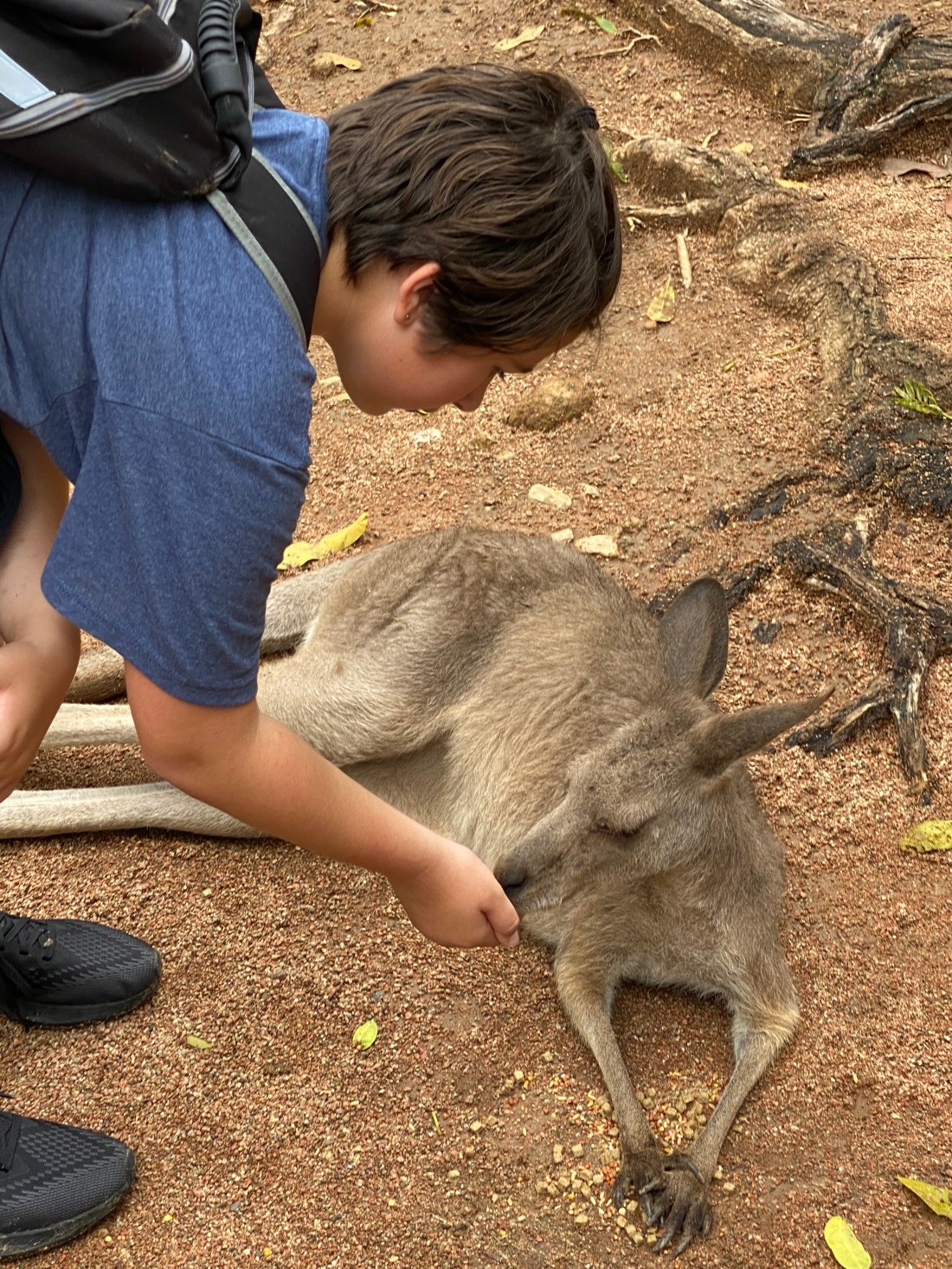 3F3E51E9-E4B3-473C-8354-119E68A6756D