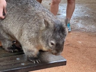 DC9D9198-0772-4305-93F3-3F83193D228B