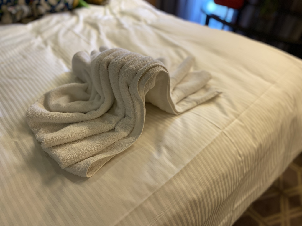 C110B37D-C881-4A86-968C-7E24B8F25B31_1_105_c